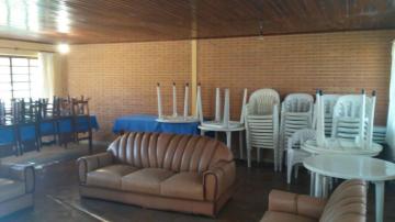 Comprar Rurais / Sitios em São José do Rio Pardo R$ 1.300.000,00 - Foto 16 Comprar Rurais / Sitios em São José do Rio Pardo R$ 1.300.000,00 - Foto 16
