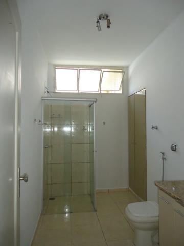 Alugar Casas / Padrão em São José do Rio Pardo R$ 1.300,00 - Foto 19 Alugar Casas / Padrão em São José do Rio Pardo R$ 1.300,00 - Foto 19