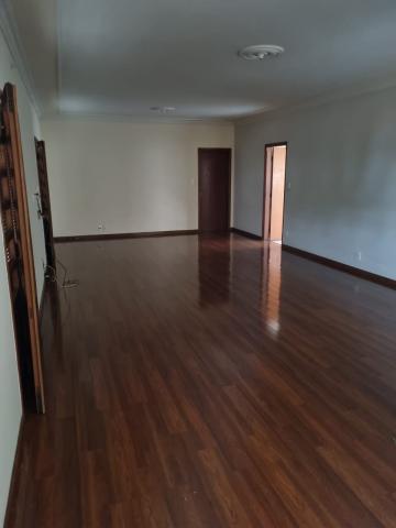 Alugar Casas / Padrão em São José do Rio Pardo R$ 2.950,00 - Foto 12 Alugar Casas / Padrão em São José do Rio Pardo R$ 2.950,00 - Foto 12