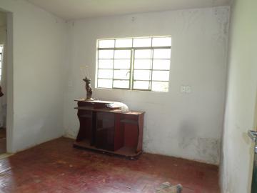 imagem 4 - Casas - Padrão imagem 4 - Casas - Padrão