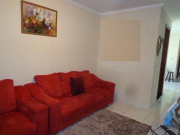 Comprar Casas / Padrão em São José do Rio Pardo R$ 318.000,00 - Foto 8 Comprar Casas / Padrão em São José do Rio Pardo R$ 318.000,00 - Foto 8