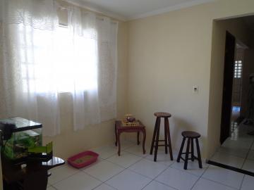 Comprar Casas / Padrão em São José do Rio Pardo R$ 318.000,00 - Foto 18 Comprar Casas / Padrão em São José do Rio Pardo R$ 318.000,00 - Foto 18