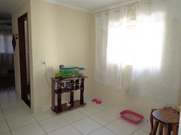 Comprar Casas / Padrão em São José do Rio Pardo R$ 318.000,00 - Foto 19 Comprar Casas / Padrão em São José do Rio Pardo R$ 318.000,00 - Foto 19