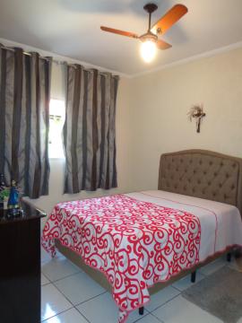 Comprar Casas / Padrão em São José do Rio Pardo R$ 318.000,00 - Foto 20 Comprar Casas / Padrão em São José do Rio Pardo R$ 318.000,00 - Foto 20