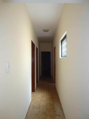 Alugar Casas / Padrão em São José do Rio Pardo R$ 1.300,00 - Foto 18 Alugar Casas / Padrão em São José do Rio Pardo R$ 1.300,00 - Foto 18