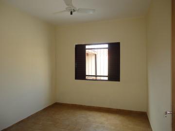 Alugar Casas / Padrão em São José do Rio Pardo R$ 1.300,00 - Foto 19 Alugar Casas / Padrão em São José do Rio Pardo R$ 1.300,00 - Foto 19