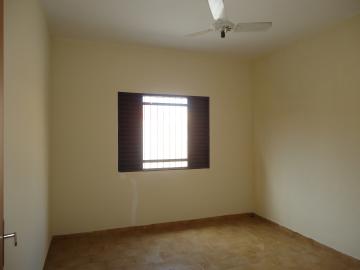 Alugar Casas / Padrão em São José do Rio Pardo R$ 1.300,00 - Foto 23 Alugar Casas / Padrão em São José do Rio Pardo R$ 1.300,00 - Foto 23