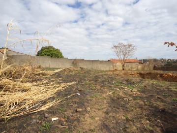 Comprar Terrenos / Padrão em São José do Rio Pardo R$ 318.000,00 - Foto 3 Comprar Terrenos / Padrão em São José do Rio Pardo R$ 318.000,00 - Foto 3