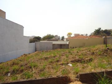 imagem 2 - Terrenos - Padrão imagem 2 - Terrenos - Padrão