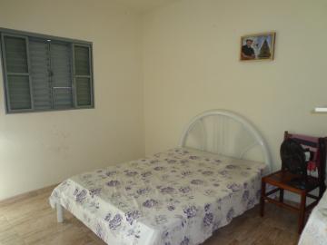 imagem 5 - Casas - Padrão imagem 5 - Casas - Padrão