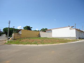 Alugar Terrenos / Padrão em São José do Rio Pardo. apenas R$ 124.000,00