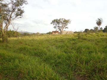 imagem 3 - Terrenos - Padrão imagem 3 - Terrenos - Padrão