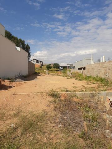imagem 2 - Terrenos - Padrão imagem 2 - Terrenos - Padrão