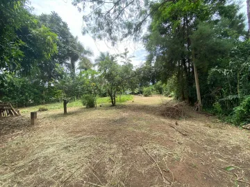 imagem 5 - Sitio Novo ... imagem 5 - Sitio Novo ...