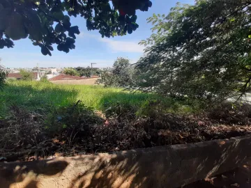 imagem 2 - Imóvel Ótima Localidade! imagem 2 - Imóvel Ótima Localidade!