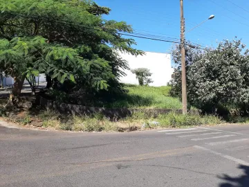 imagem 3 - Imóvel Ótima Localidade! imagem 3 - Imóvel Ótima Localidade!