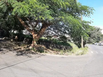 imagem 4 - Imóvel Ótima Localidade! imagem 4 - Imóvel Ótima Localidade!
