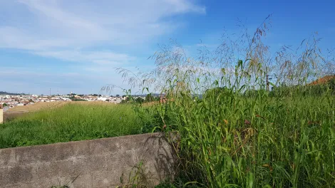 São José do Rio Pardo - Portal da Boa Vista - Terrenos - Padrão - Venda