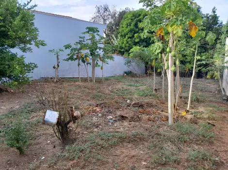 Supermercado, Padaria, Escola, Clinica Medica...