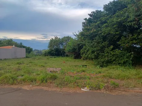 imagem 2 - Terrenos - Padrão imagem 2 - Terrenos - Padrão