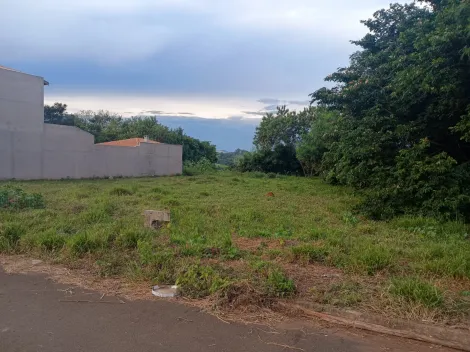 imagem 3 - Terrenos - Padrão imagem 3 - Terrenos - Padrão