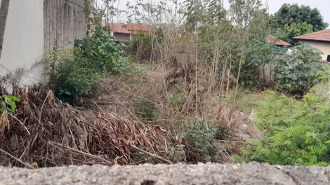 imagem 3 - Terrenos - Padrão imagem 3 - Terrenos - Padrão
