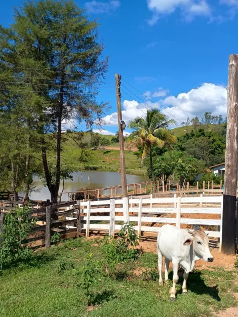 imagem 2 - Sentido Tapiratiba... imagem 2 - Sentido Tapiratiba...