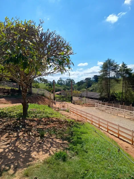 imagem 4 - Sentido Tapiratiba... imagem 4 - Sentido Tapiratiba...