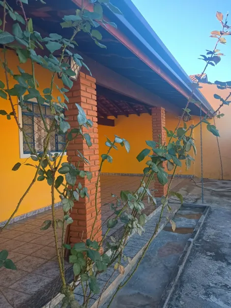 imagem 5 - Casas - Padrão imagem 5 - Casas - Padrão